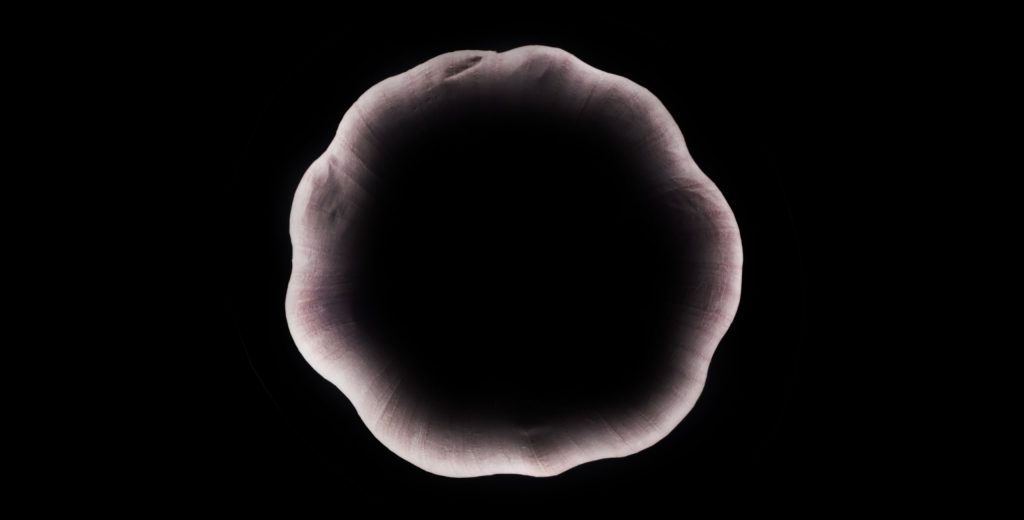 the _void